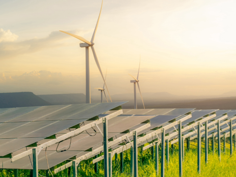 Image d'une ferme de turbines solaires et éoliennes, dans un champ vert, représentant l'énergie et les ressources durables.